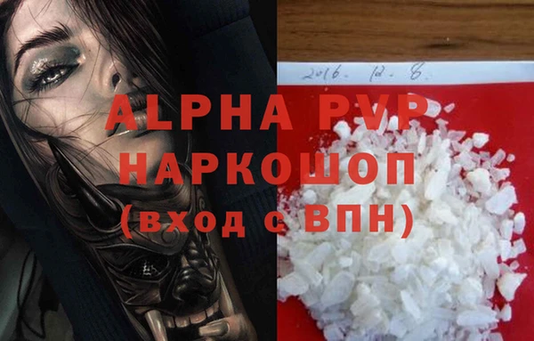 крисы Медногорск
