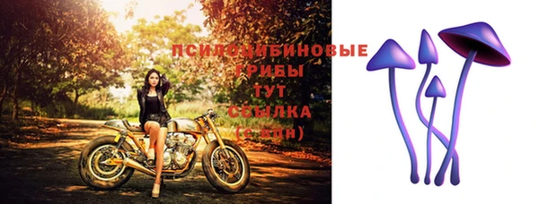таблы Мегион