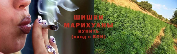 эйфоретик Магас