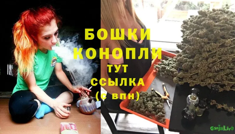 MEGA ONION  Волоколамск  Бошки Шишки THC 21% 